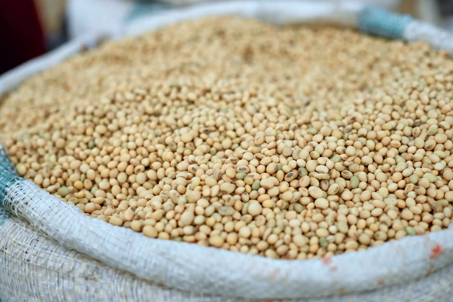 连锁餐饮食材供应链优化：中央厨房净菜加工与仓储物流协同方案